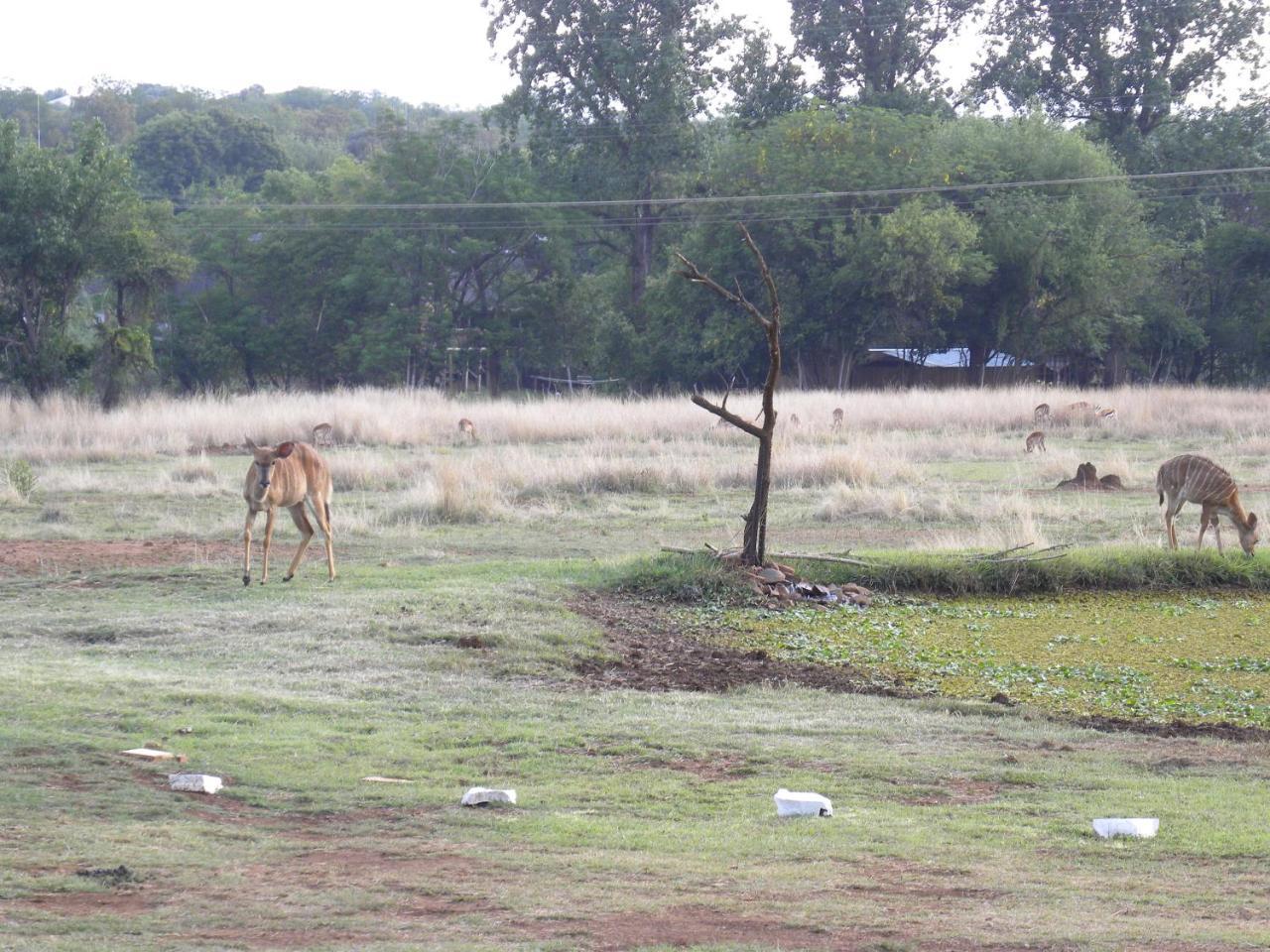 Harties Is Africa Safari Lodge Kosmos Exterior photo