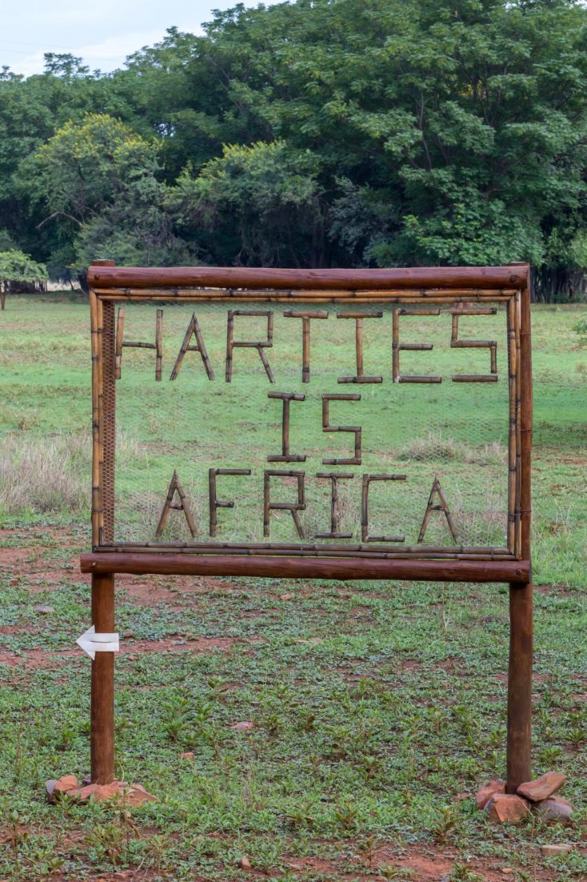 Harties Is Africa Safari Lodge Kosmos Exterior photo