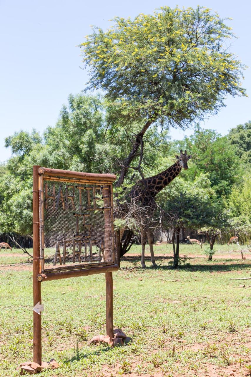 Harties Is Africa Safari Lodge Kosmos Exterior photo